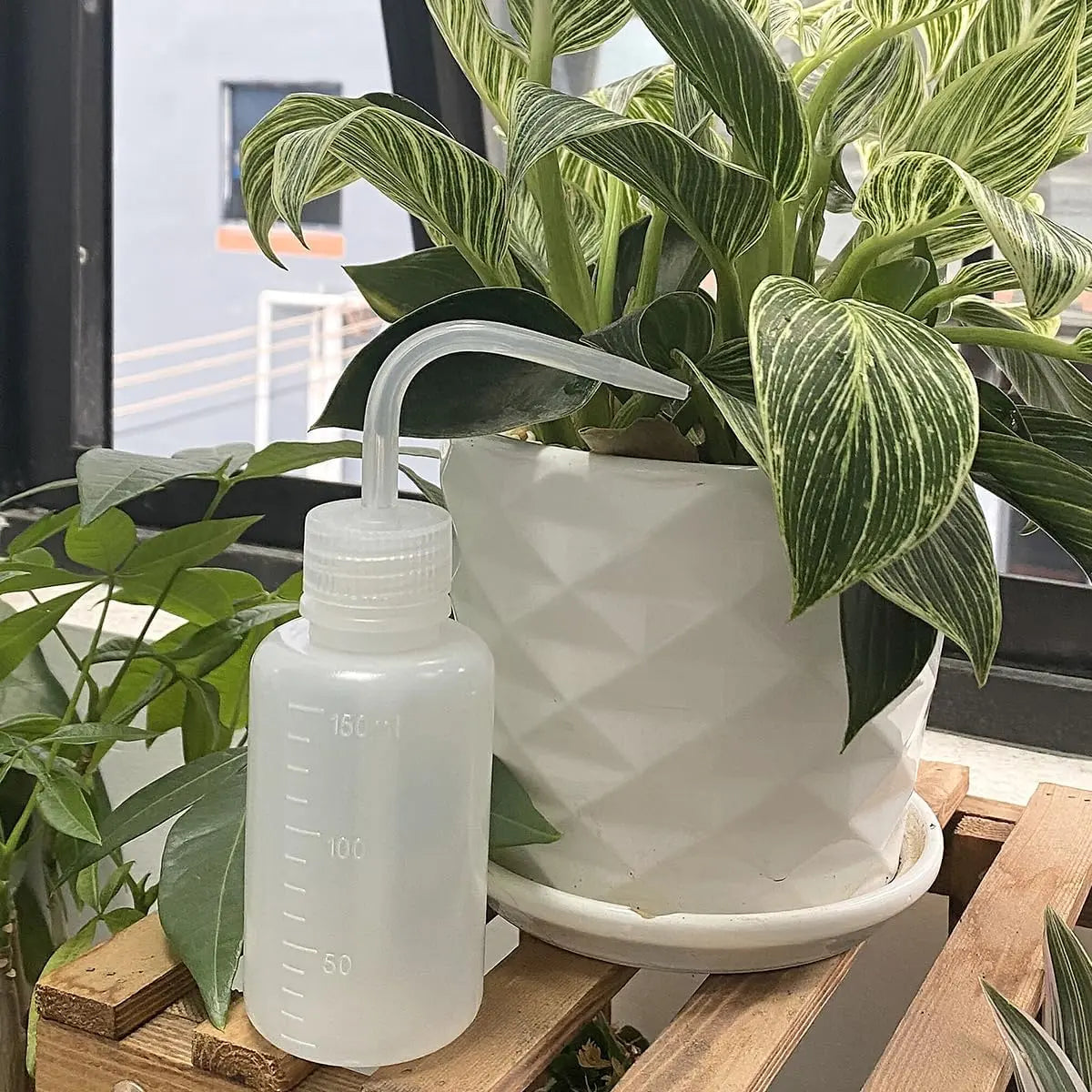 150ML Premium Eyelash Water Bottle for Extensions, 5.1oz White  Water Bottles No Need to Squeeze Hard, Easy to Carry Eyelash Bottle Rinse for Eyelashes, Cleaning(1 pack)